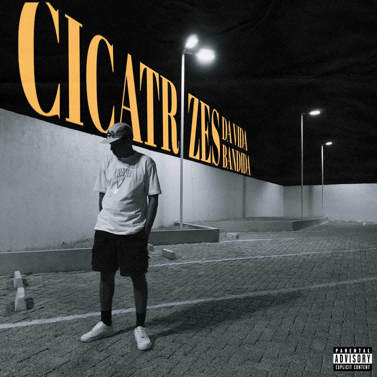 CDVB (feat. Carcará & mgsnobeat) - Single by seetor7 album cover