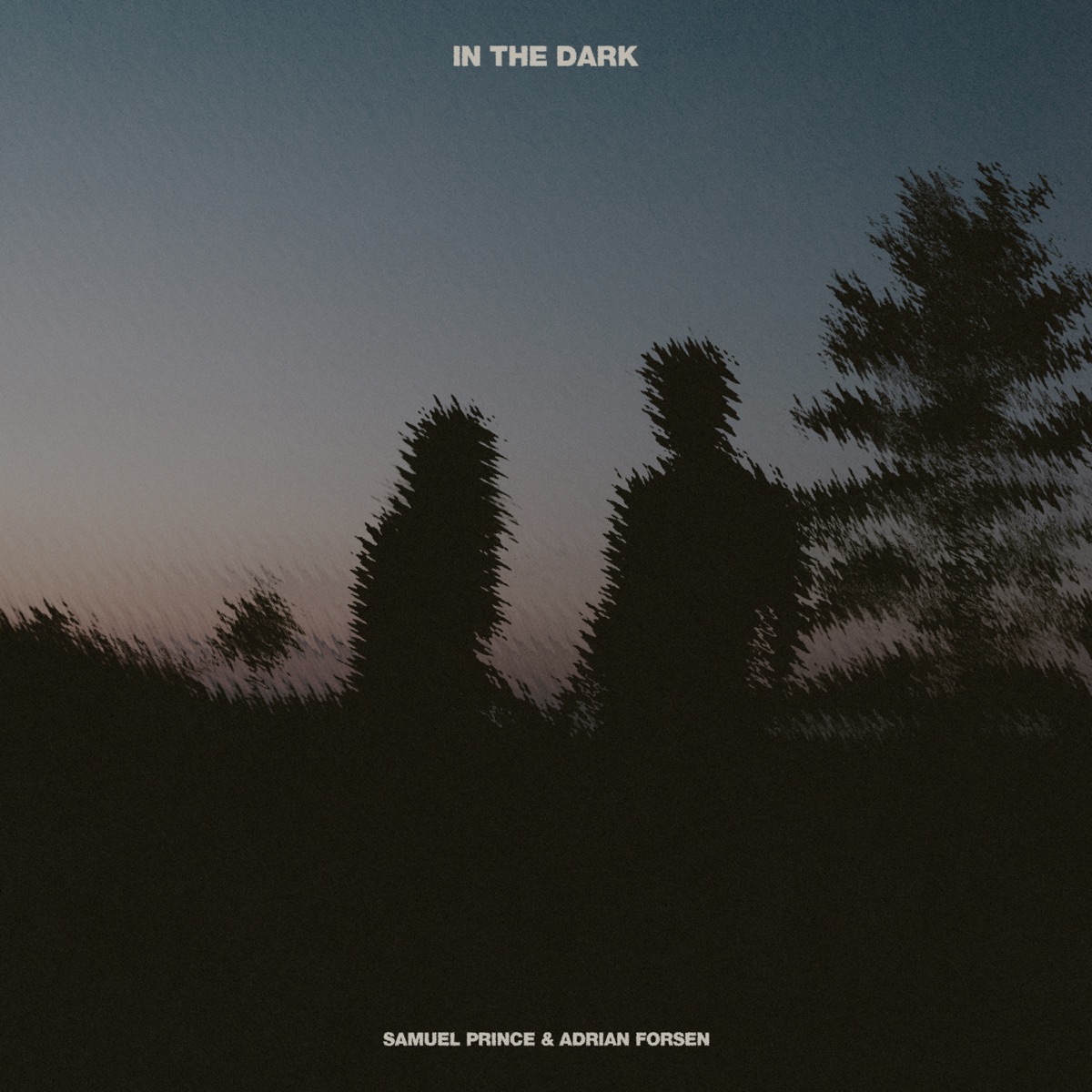 In The Dark - Single by Samuel Prince & Adrian Forsén album cover