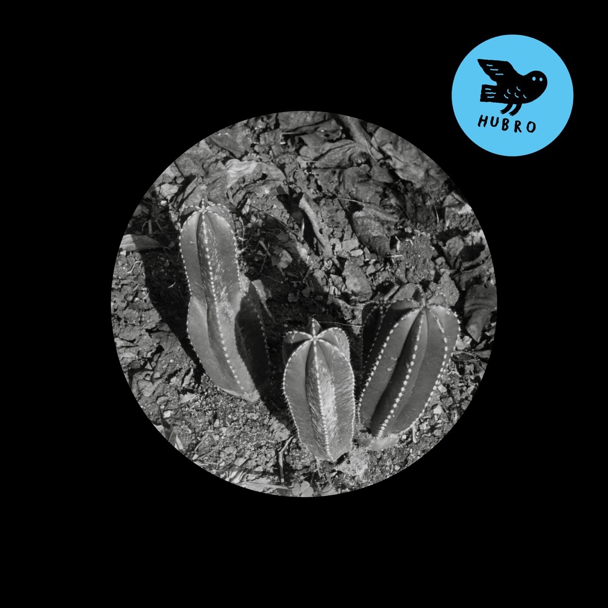 Da/Innom - Single by Building Instrument album cover