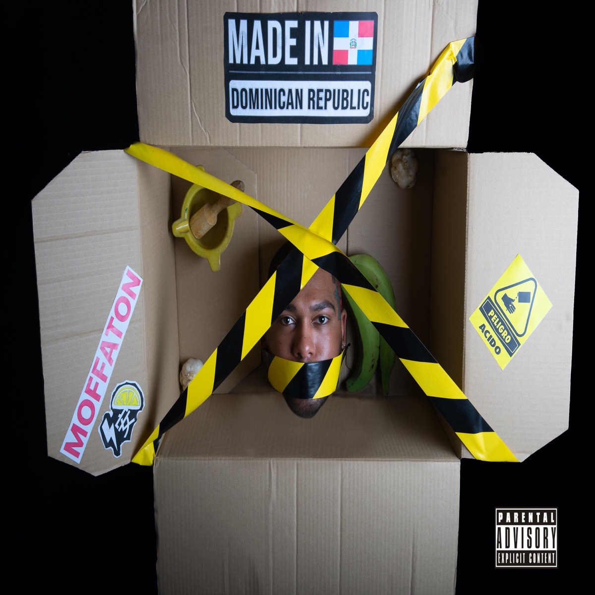 Made In Dominican Republic by Moffaton album cover
