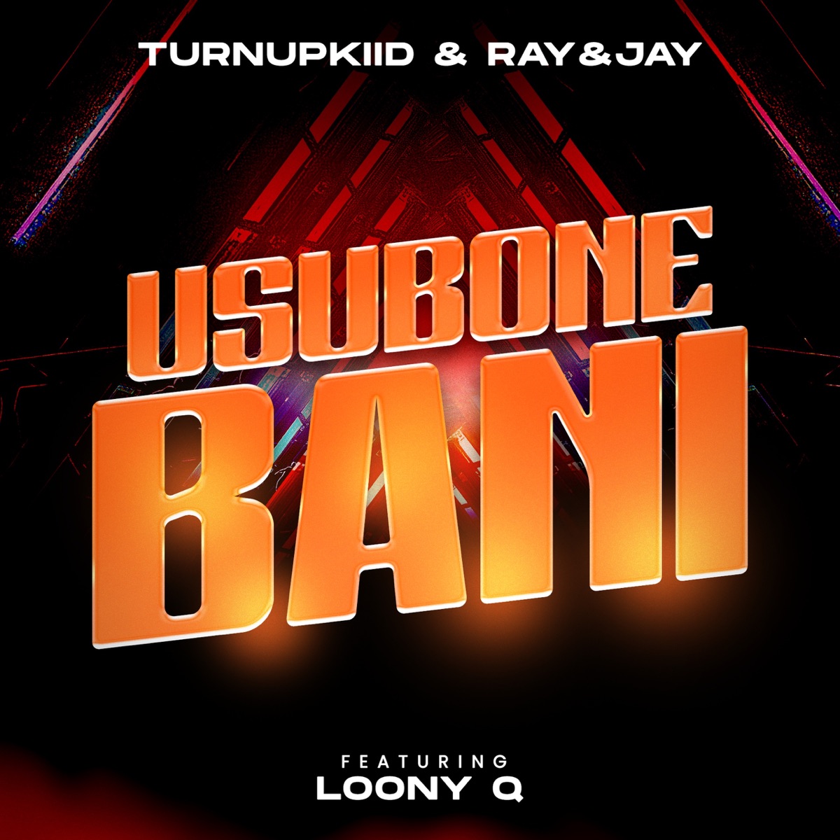 Usubone Bani (feat. Loony Q) - Single by TurnUpKiid & Ray&Jay album cover