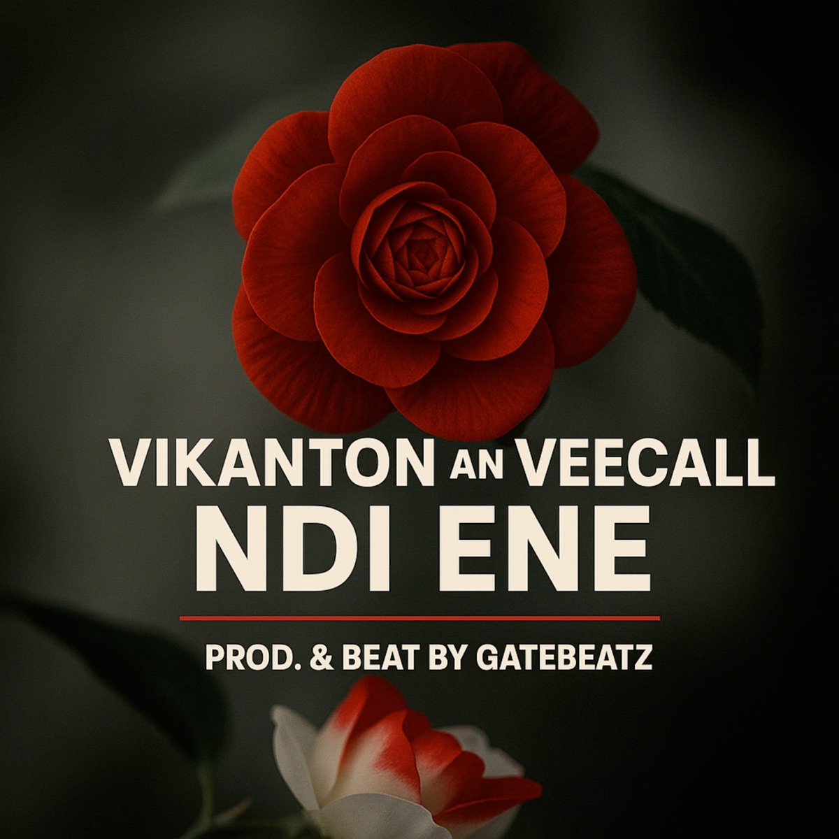 Ndi Ene - Single by VeeCall & Vikanton album cover