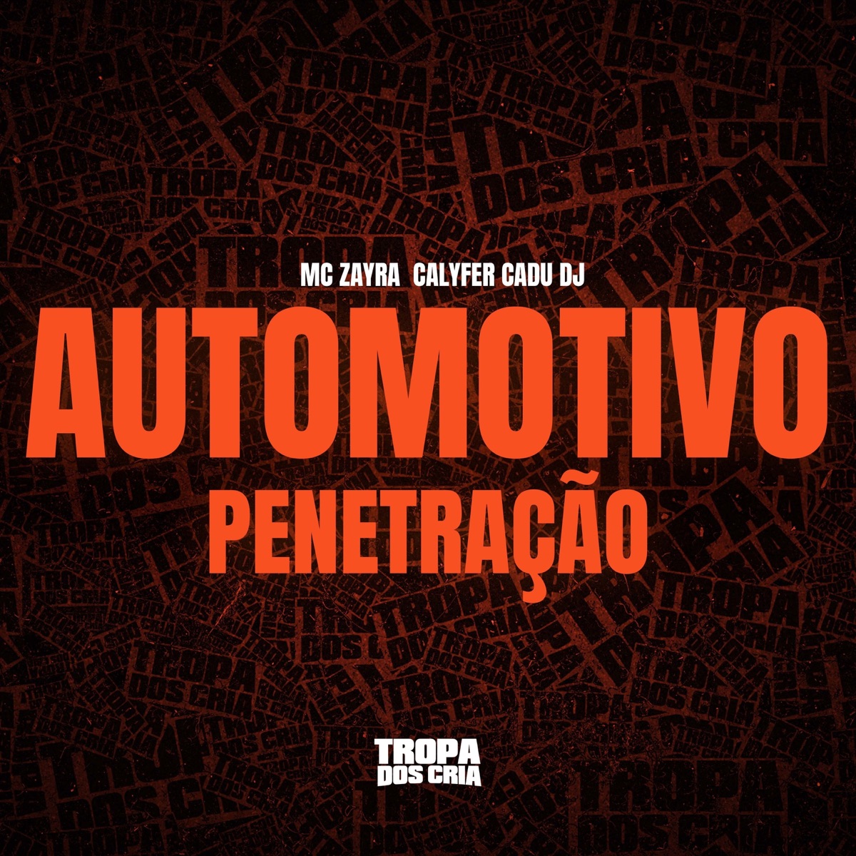 AUTOMOTIVO PENETRAÇÃO - Single by Cadu DJ, MC Zayra & CalyFer album cover