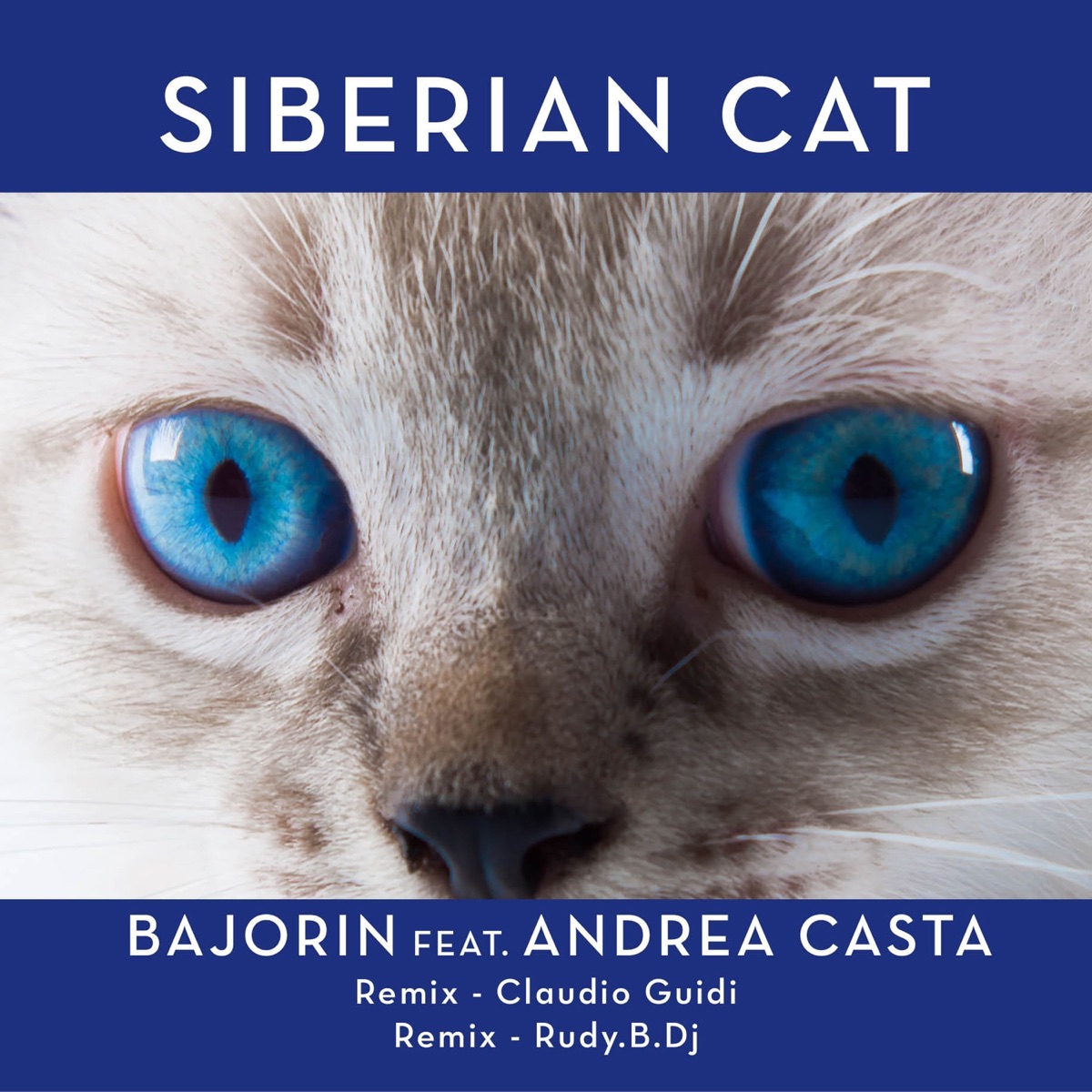 Bajorin (feat. Andrea Casta) [Remixes] - Single by Siberian Cat album cover