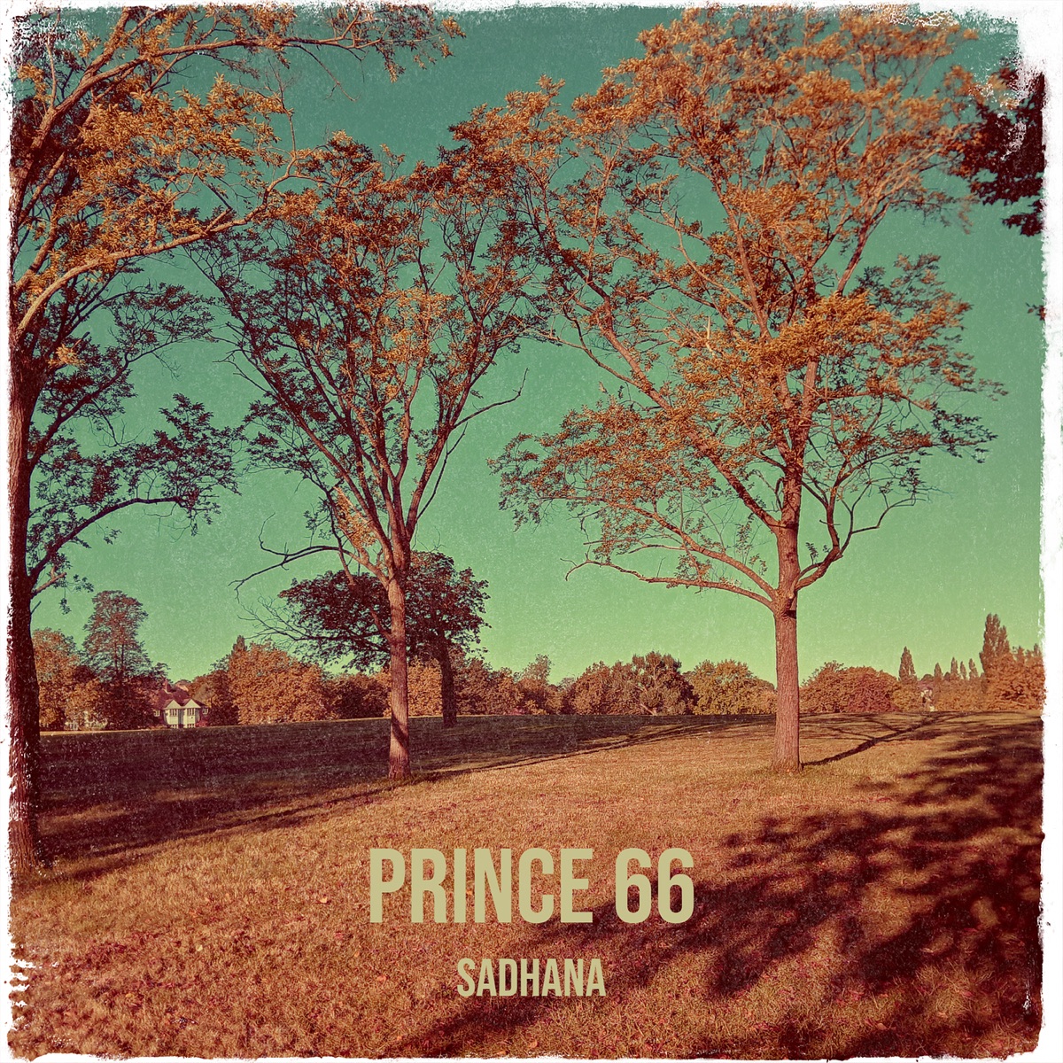 Prince 66 - Single by Sadhana album cover