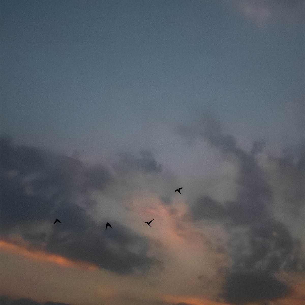 elsewhere - Single by everburning, Hizashi & maeLstro album cover