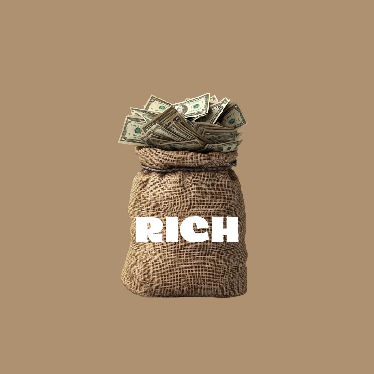 RICH - Single by Jay Rafa album cover