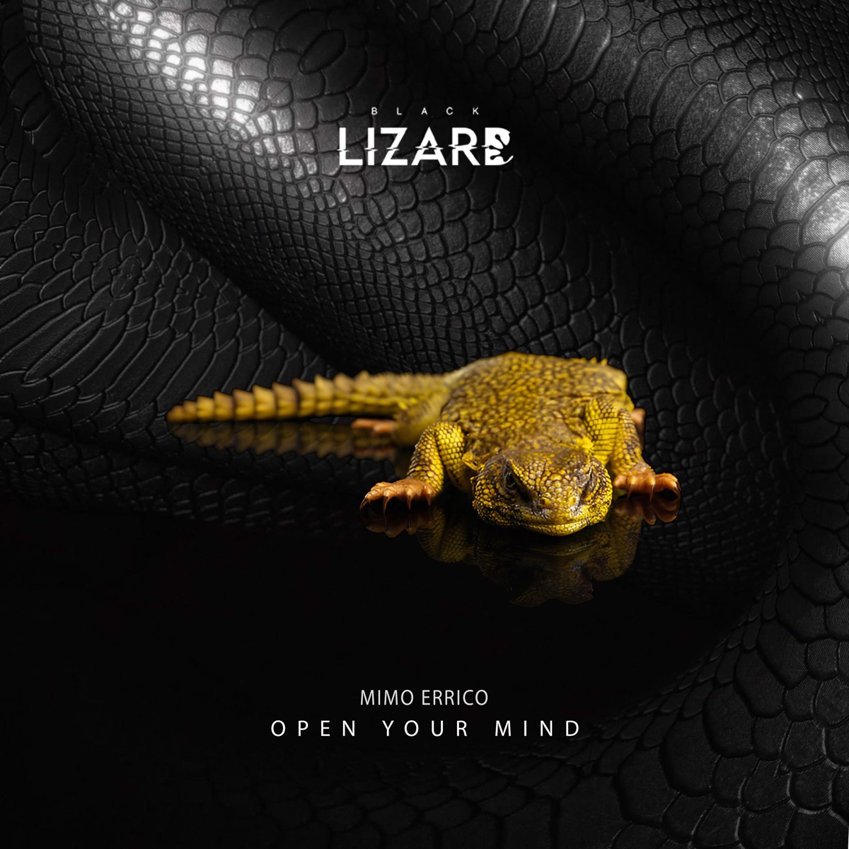 Open Your Mind - Single by Mimmo Errico album cover