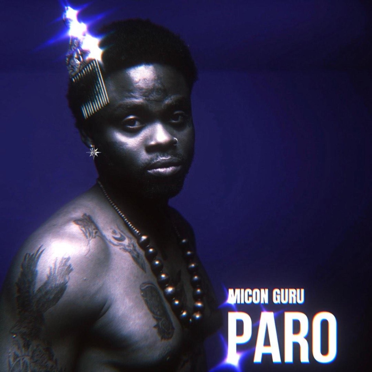 Paro - Single by Micon Guru album cover