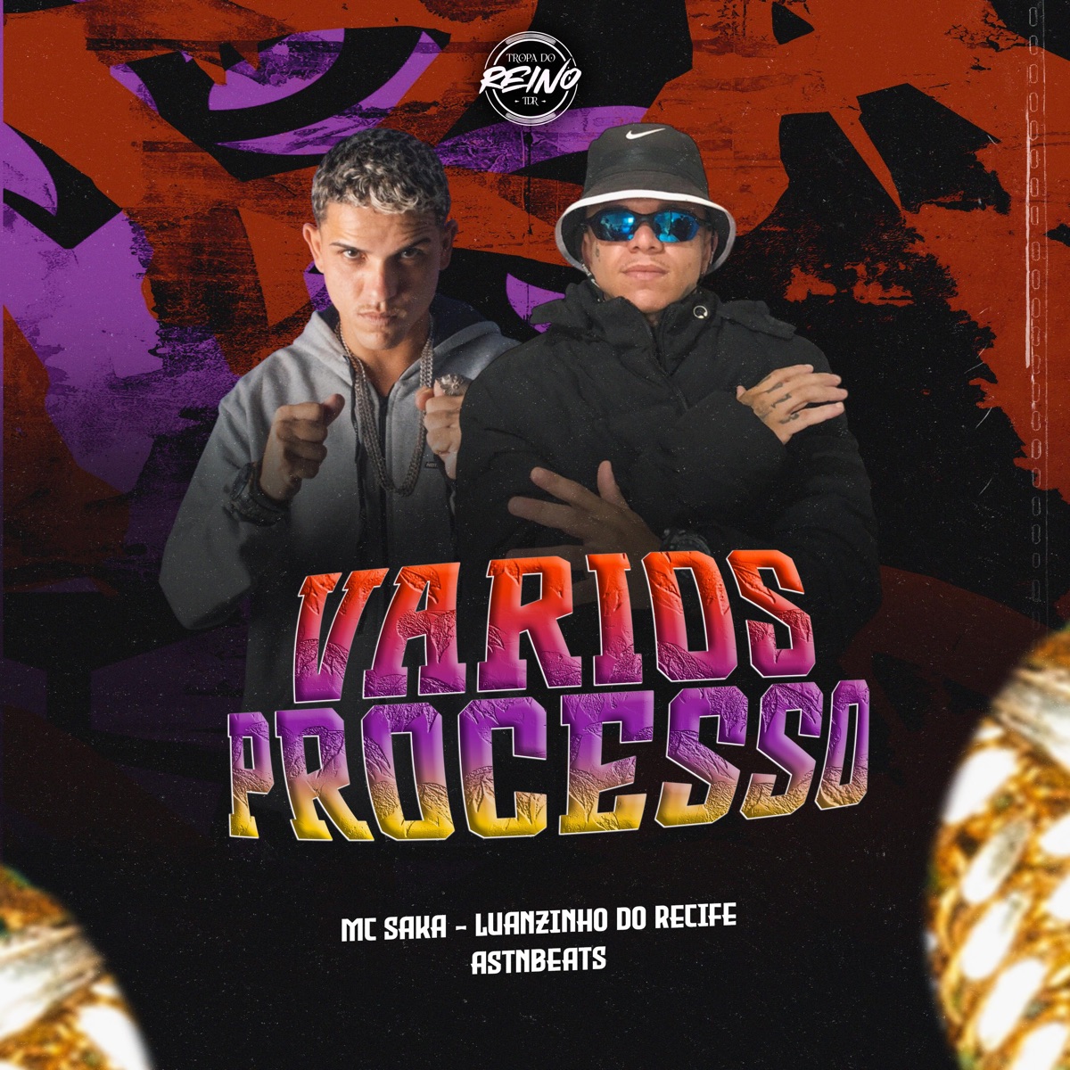 VARIOS PROCESSO - Single by Luanzinho do Recife, mc saka & astnbeats album cover