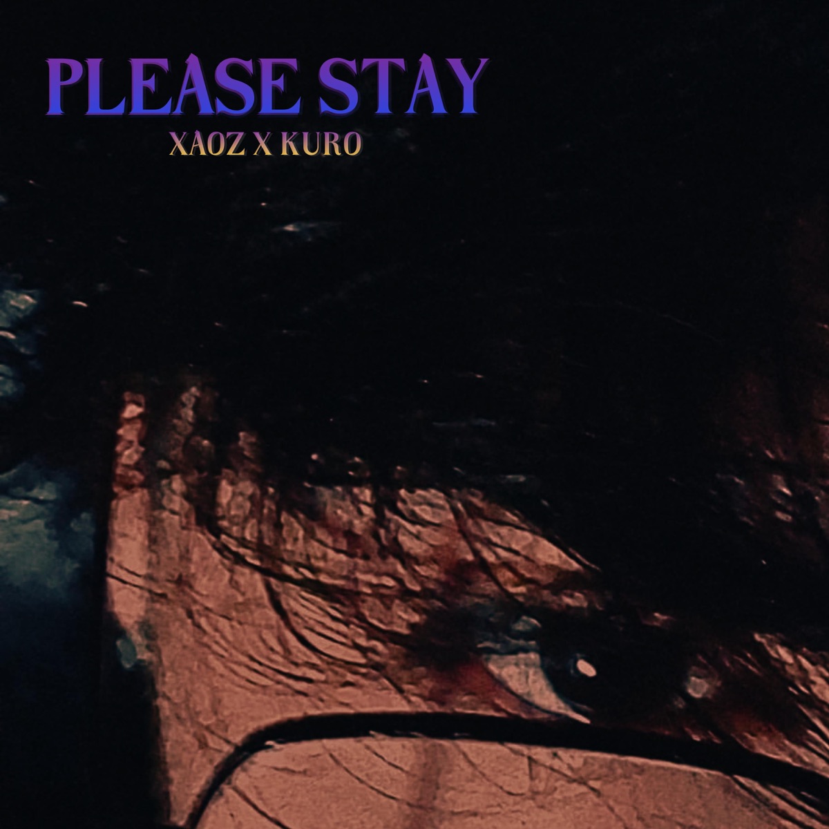 Please Stay - Single by xaoz album cover