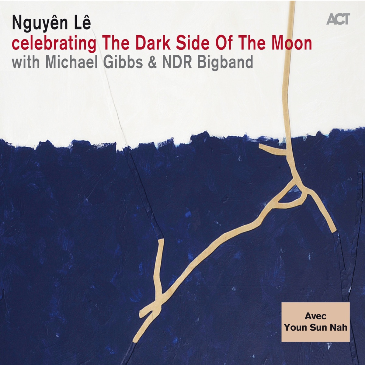 Celebrating the Dark Side of the Moon (with NDR Bigband & Michael Gibbs) [feat. Youn Sun Nah] by Nguyên Lê album cover