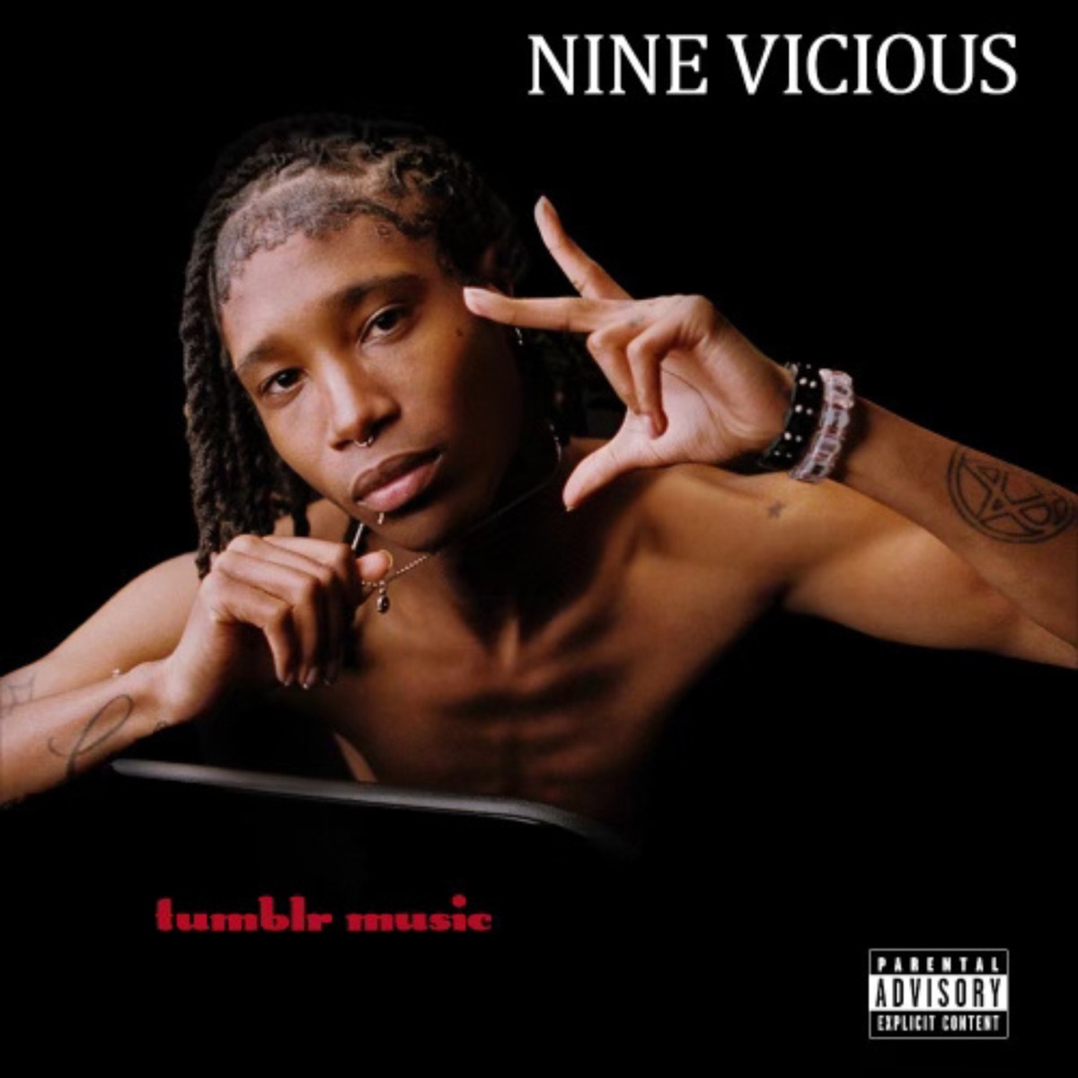 Tumblr Music by Nine Vicious album cover