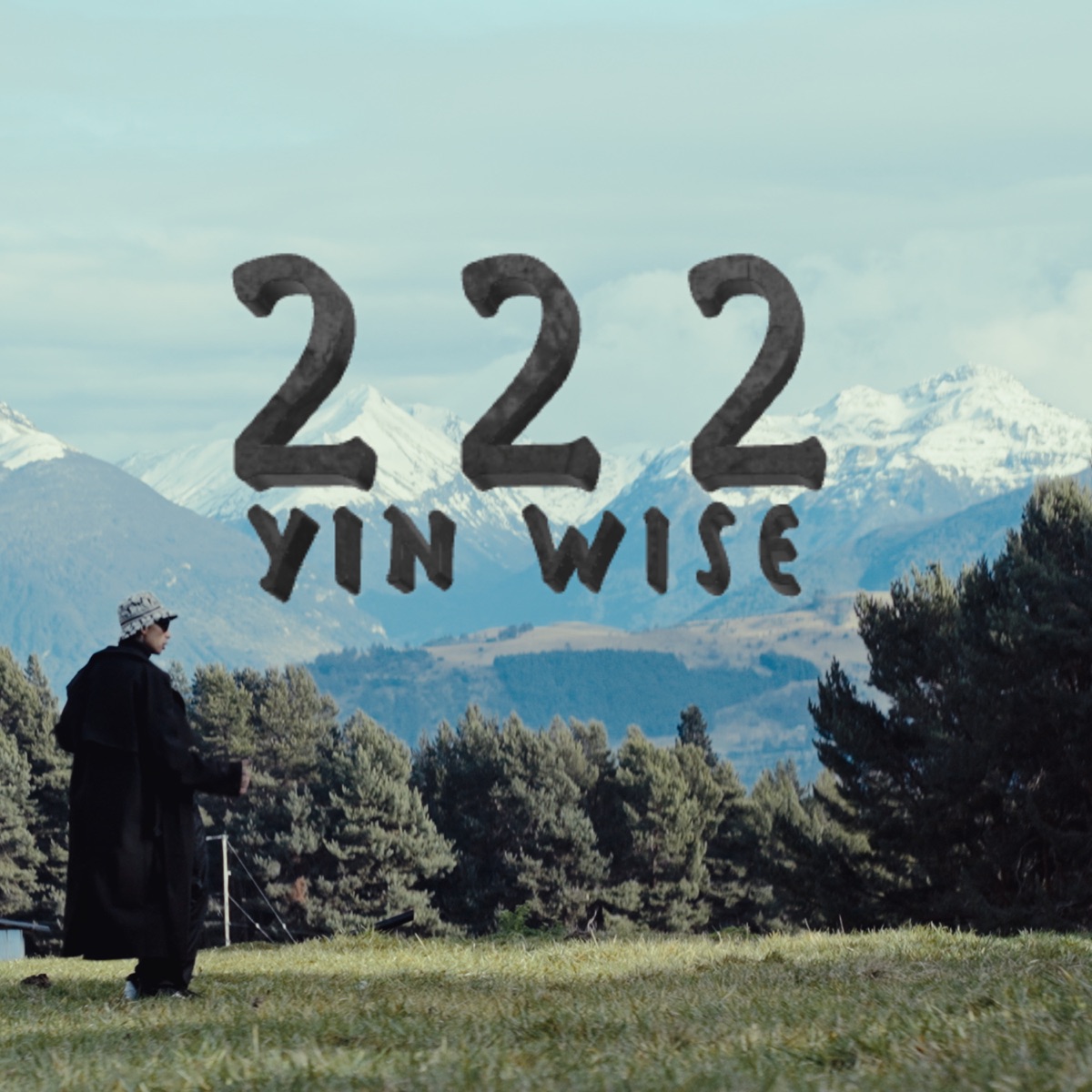 222 by Yin Wise album cover
