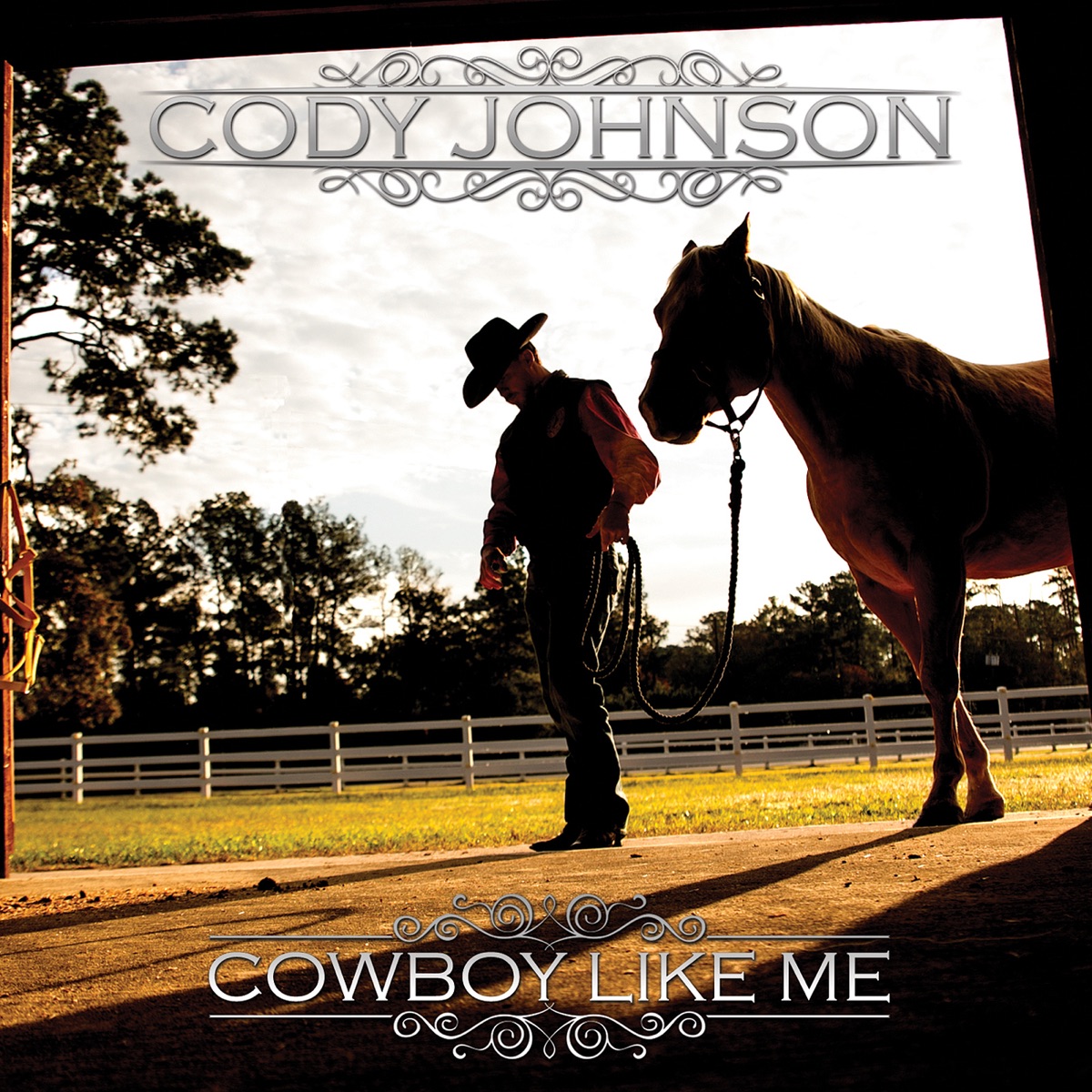 Cowboy Like Me (Bonus Track Version) by Cody Johnson album cover