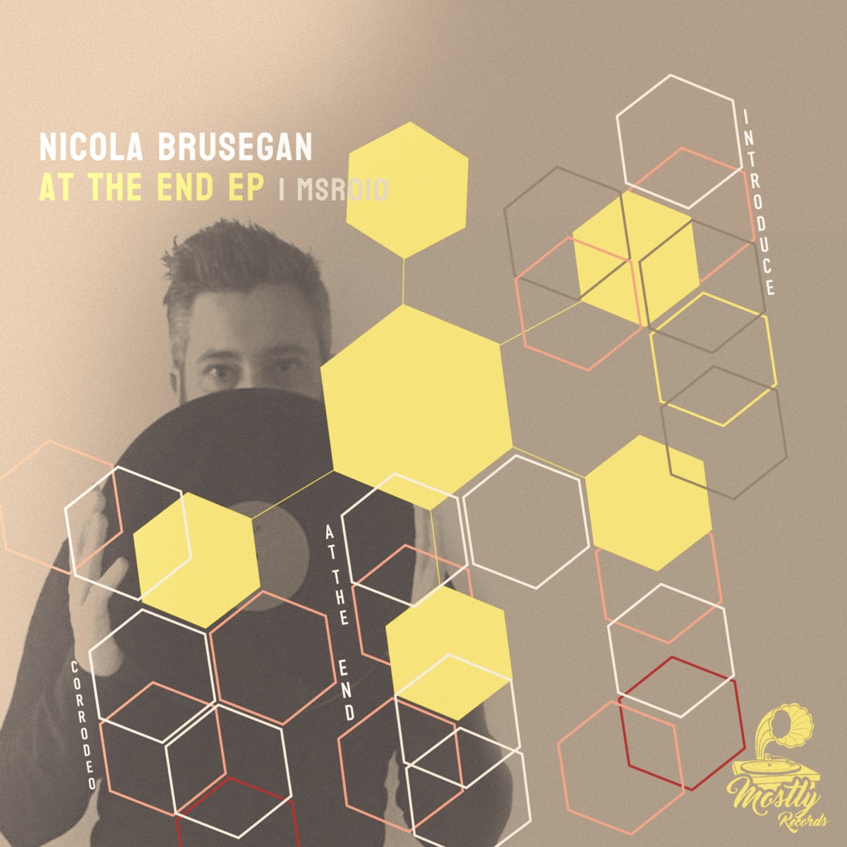 At the End - Single by Nicola Brusegan album cover