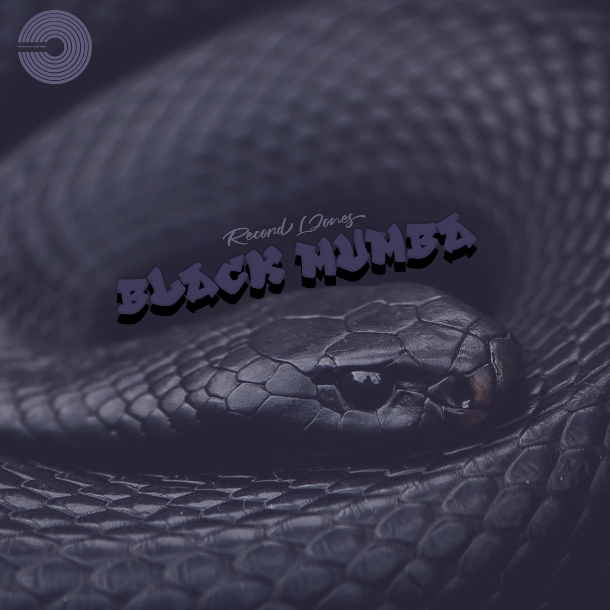 Black Mamba - Single by Record L Jones album cover