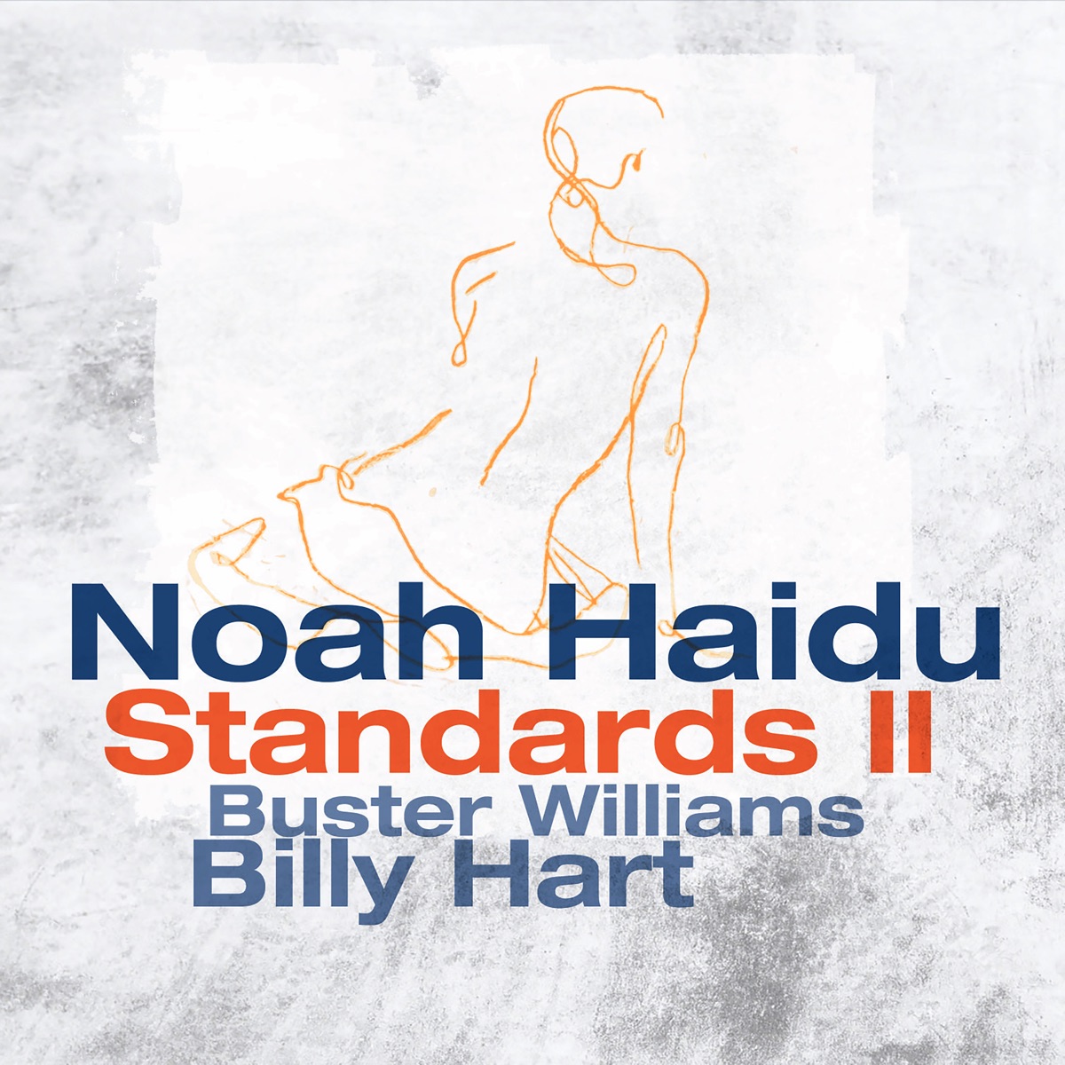 Standards II by Noah Haidu album cover