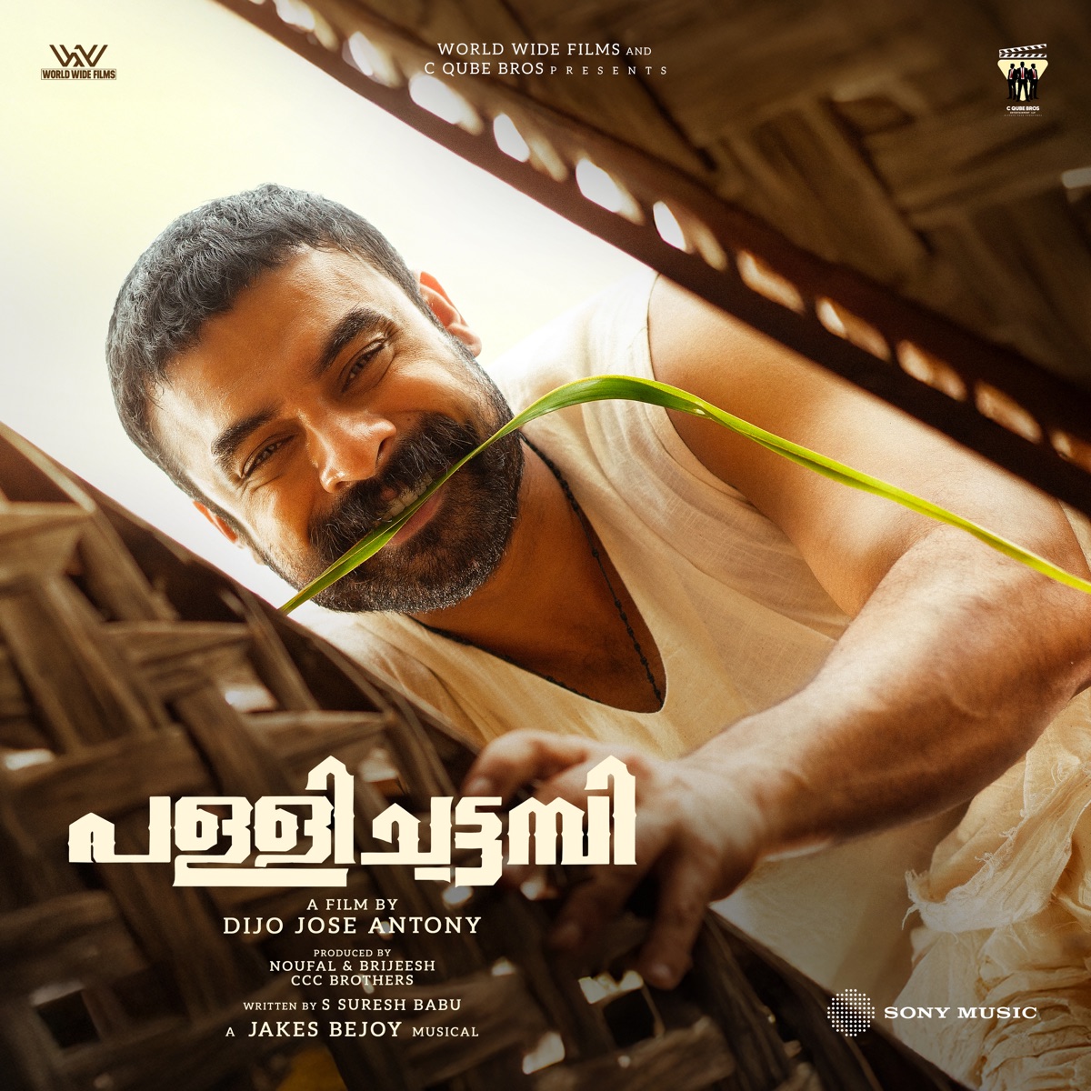 Pallichattambi (Original Motion Picture Soundtrack) by Jakes Bejoy, Titto P Thankachen, Dabzee, D shabdha, Dopameen3, Kaithapram & Muthu album cover