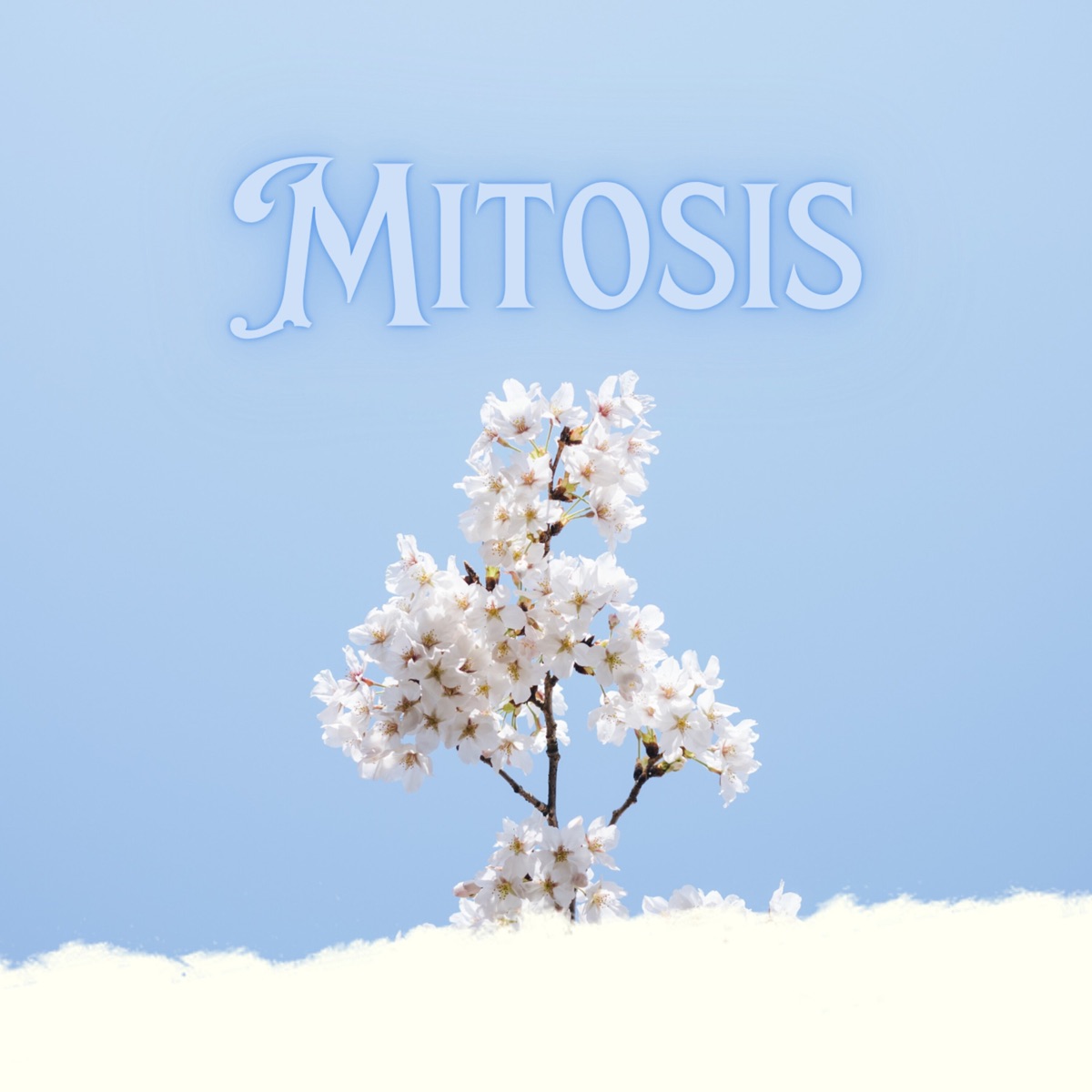 Mitosis (feat. Tumza tk) - Single by Maitus, Dena Deep, jxyphobi.c & Retro-Tee album cover