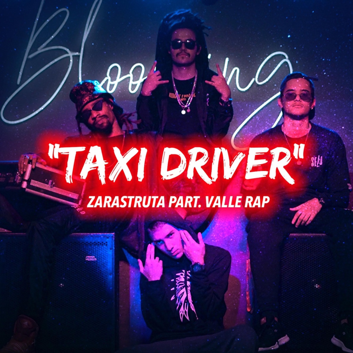 Taxi Driver (feat. Valle RAP) - Single by Zarastruta album cover