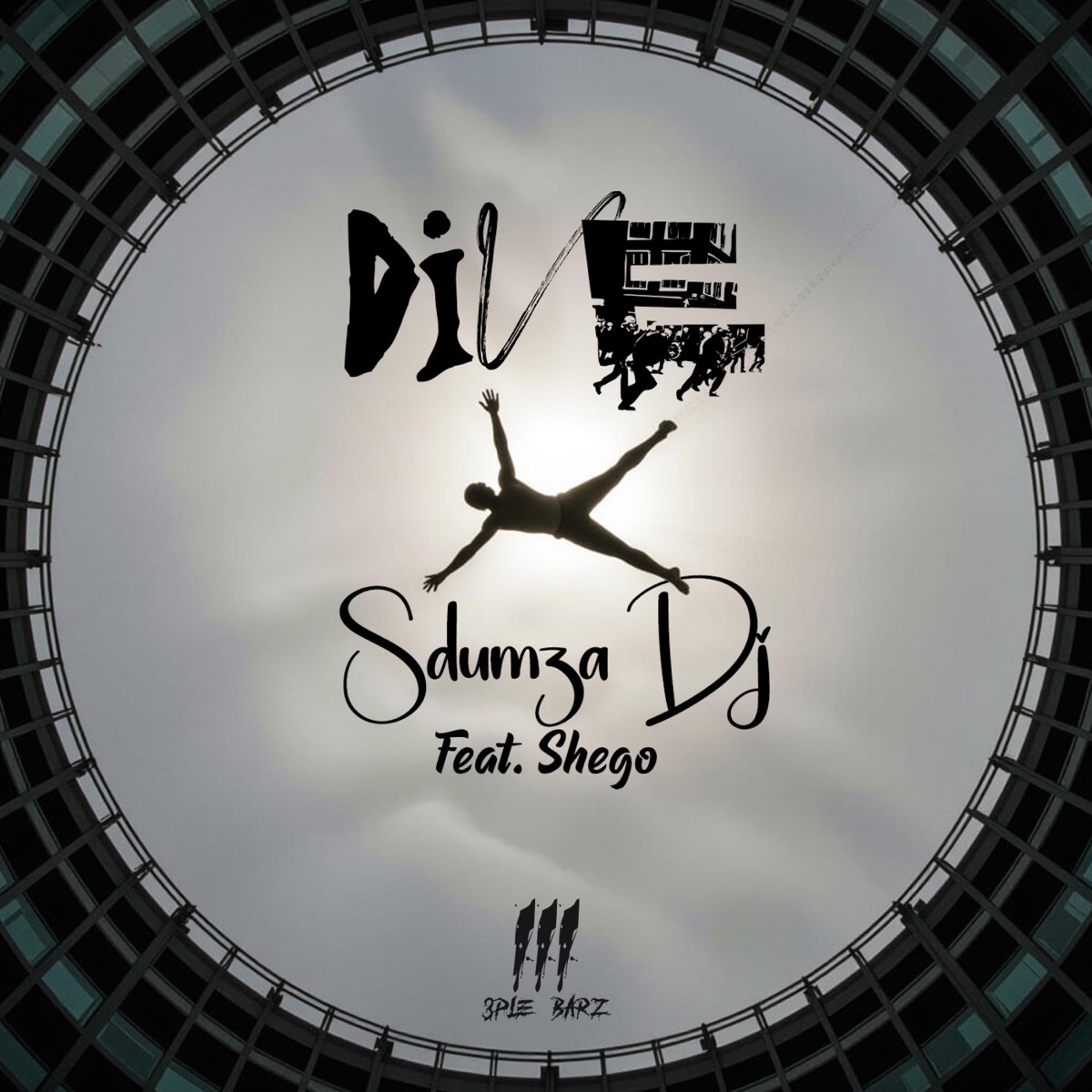 Dive (feat. Shego rsa) - Single by SdumzaDj album cover