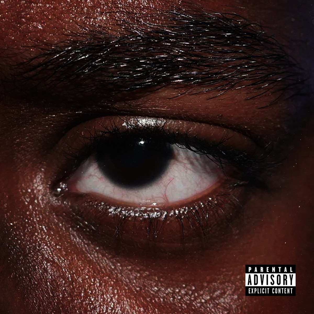 BLOOD IN MY EYE by Joey Fatts album cover