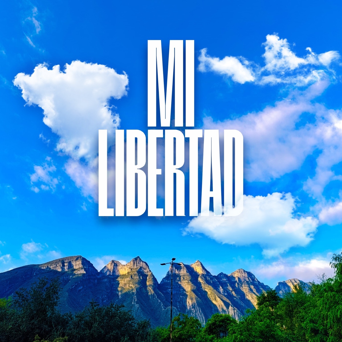 Mi Libertad (feat. Delta H) - Single by Shon WC & BANA WC album cover