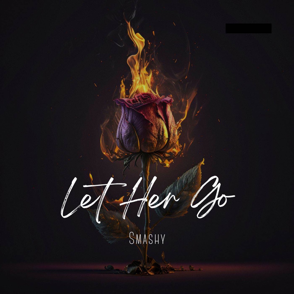 Let Her Go (Folk - Rock Cover) - Single by Smashy album cover
