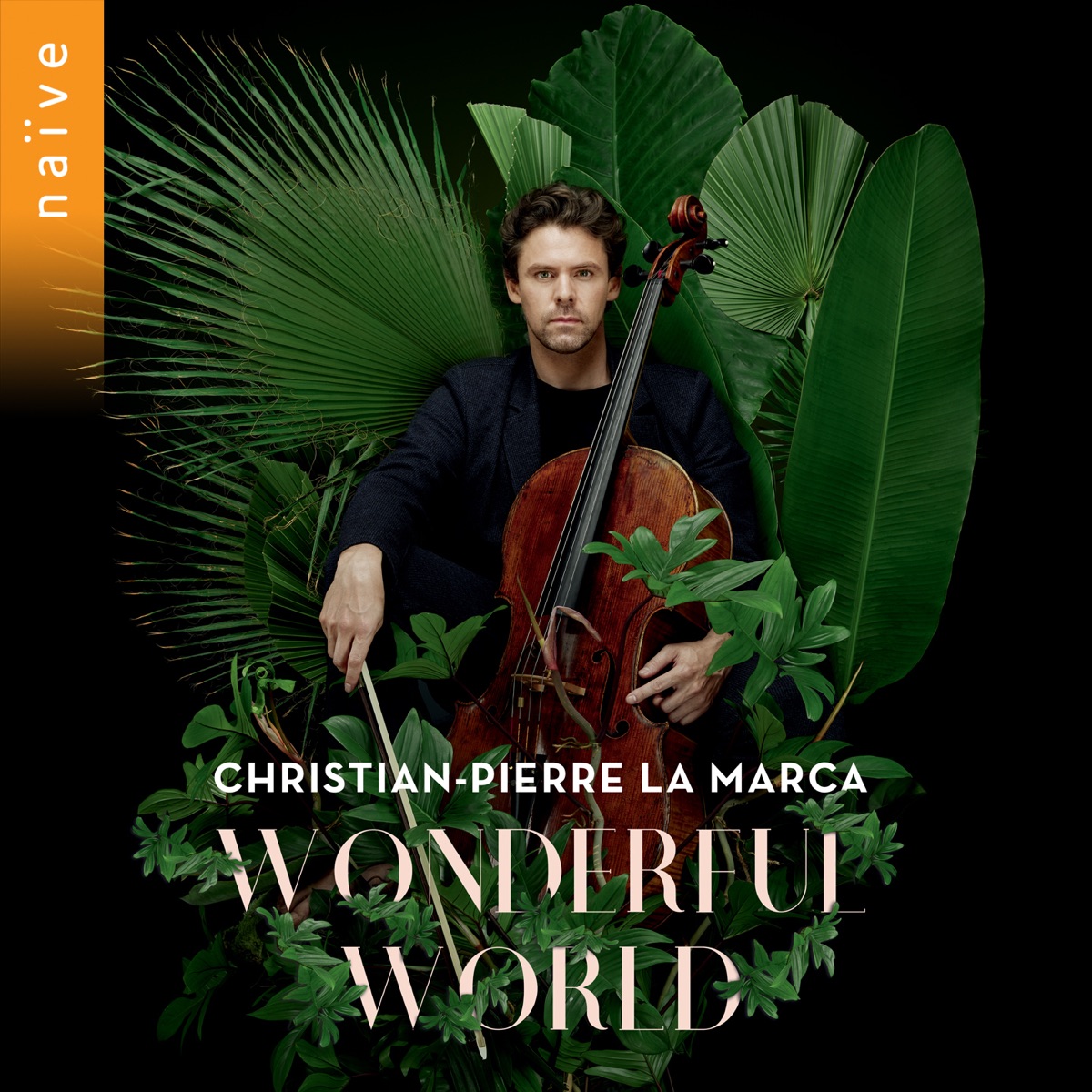 Wonderful World by Christian-Pierre La Marca album cover