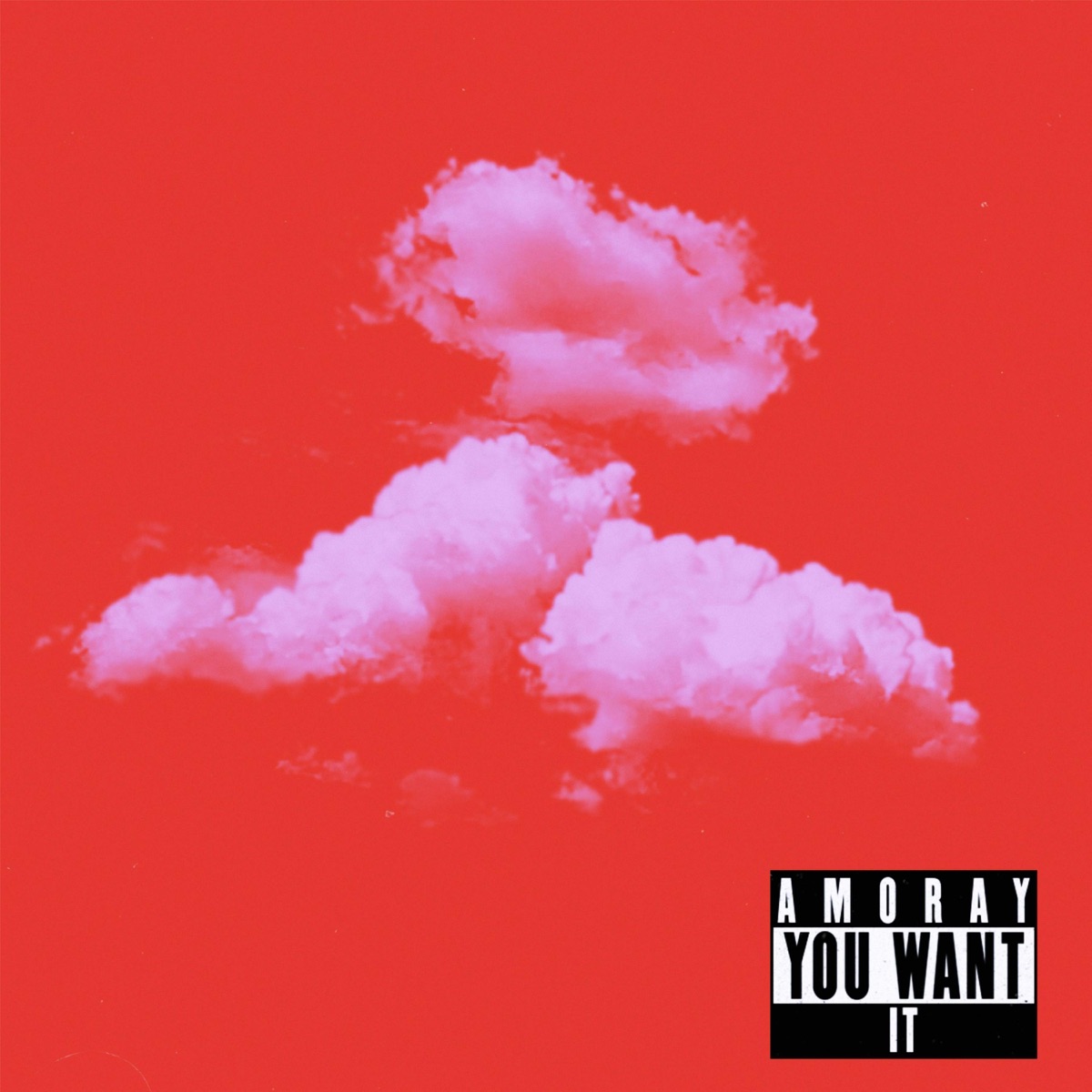 You want it - Single by Amoray album cover