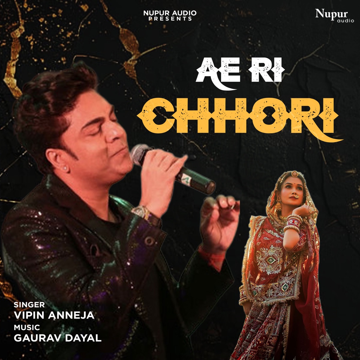 Ae Ri Chhori - Single by Vipin Aneja & Gaurav Dayal album cover