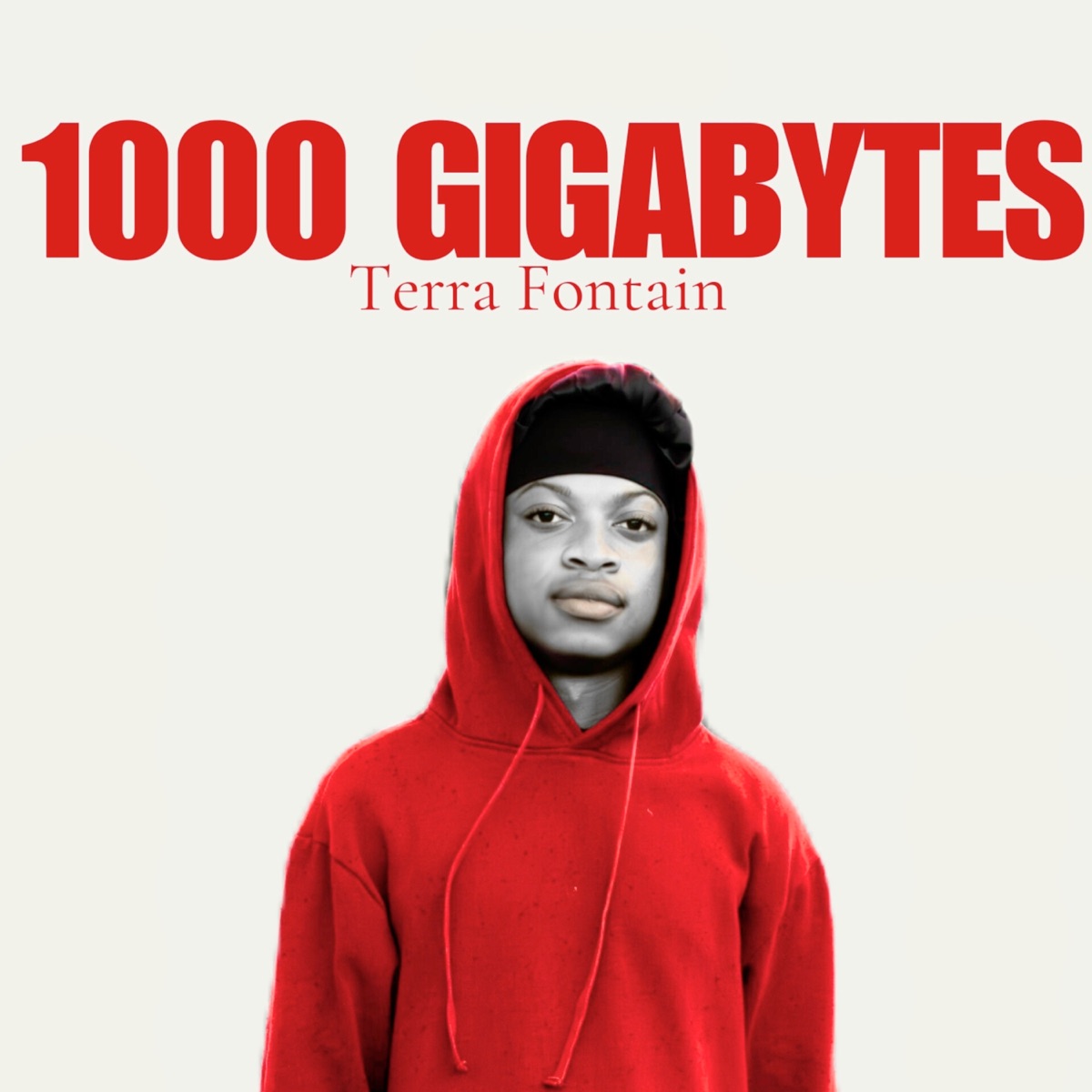 1000 Gigabytes - EP by TerraFontain album cover