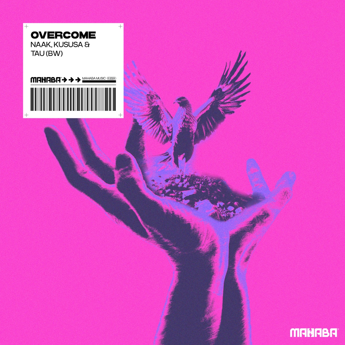 Overcome - Single by NAAK, Kususa & TAU (BW) album cover