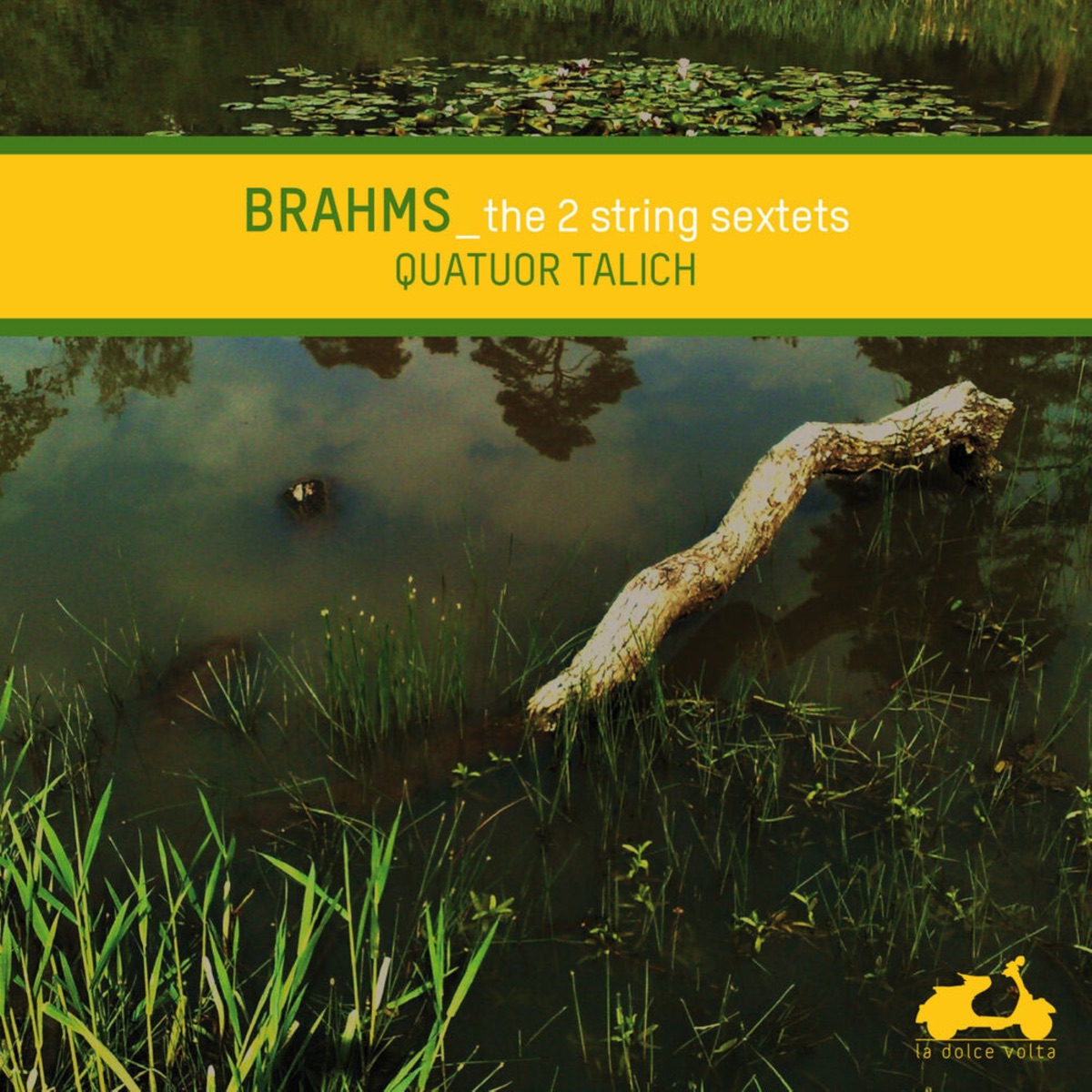 Brahms: The 2 String Sextets by Talich Quartet album cover