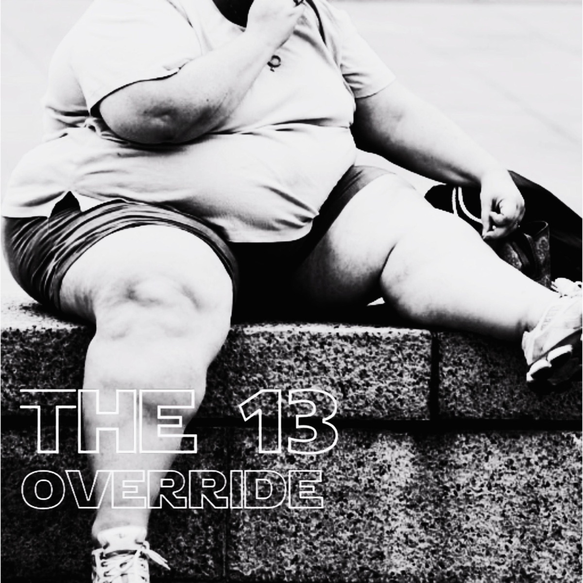 Override (feat. Jess Lewis & John Hicks) - Single by The 13 album cover