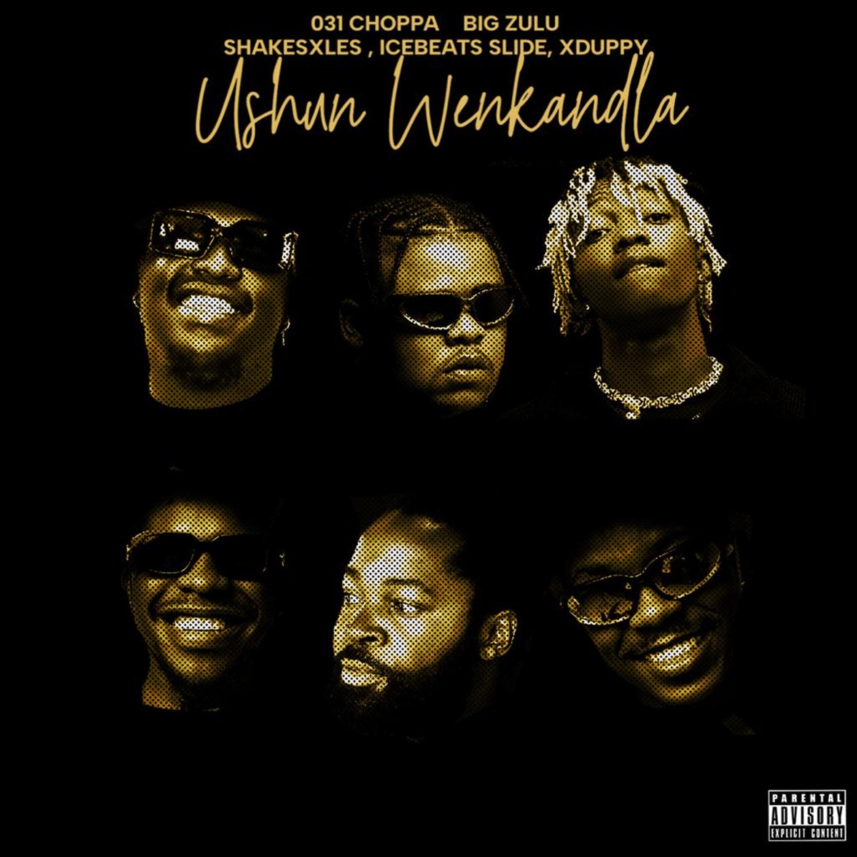 ushuni we nkandla (feat. Ice Beats Slide, Shakes & Les, Xduppy) - Single by 031choppa & Big Zulu album cover