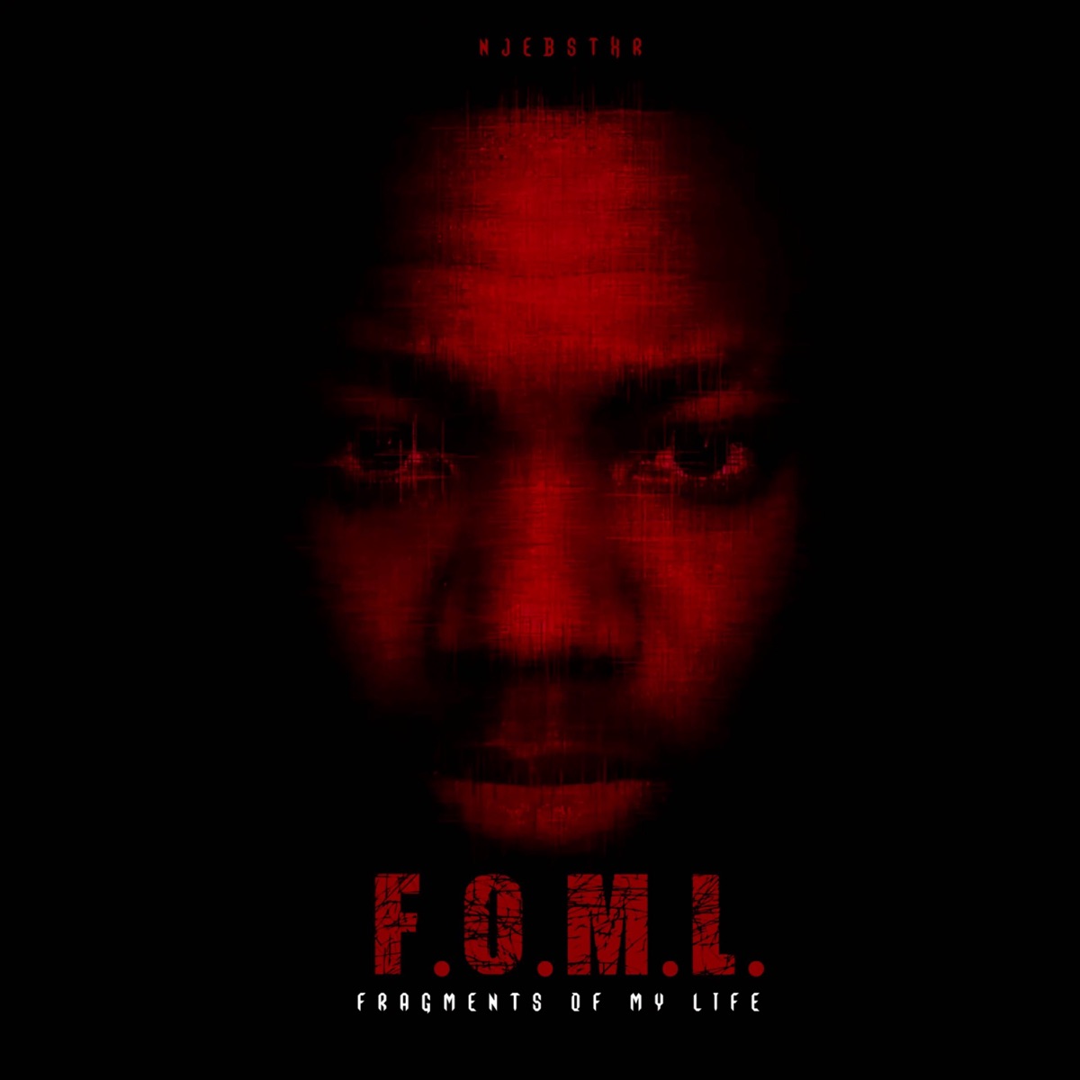 F.O.M.L. (Fragments Of My Life) by Njebstxr album cover