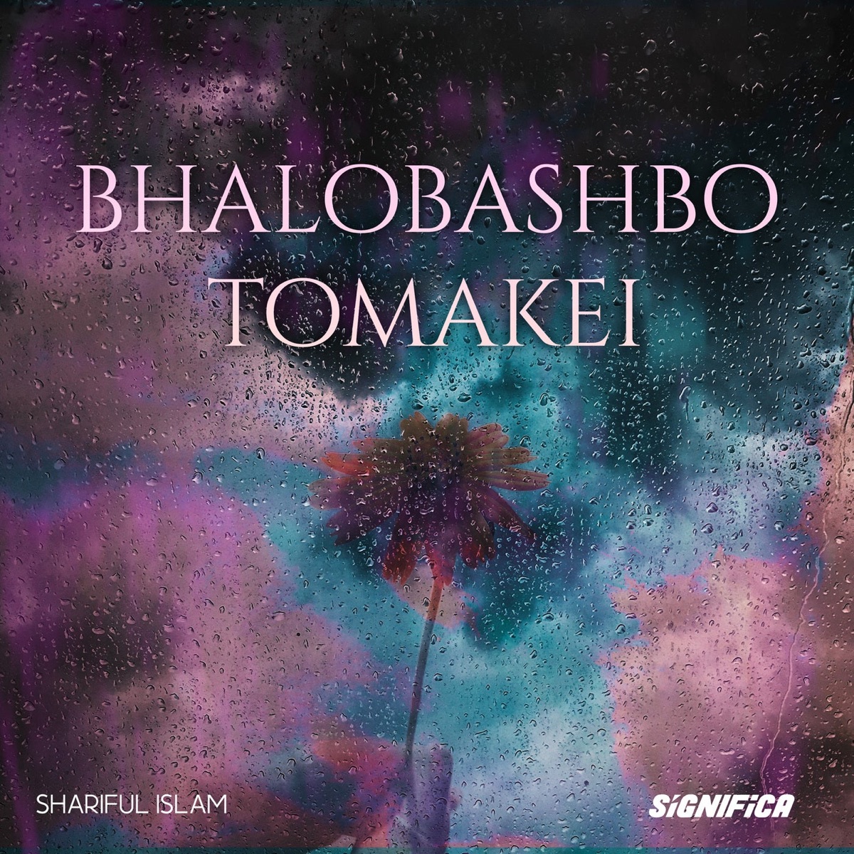 Bhalobashbo Tomakei - Single by Shariful Islam album cover