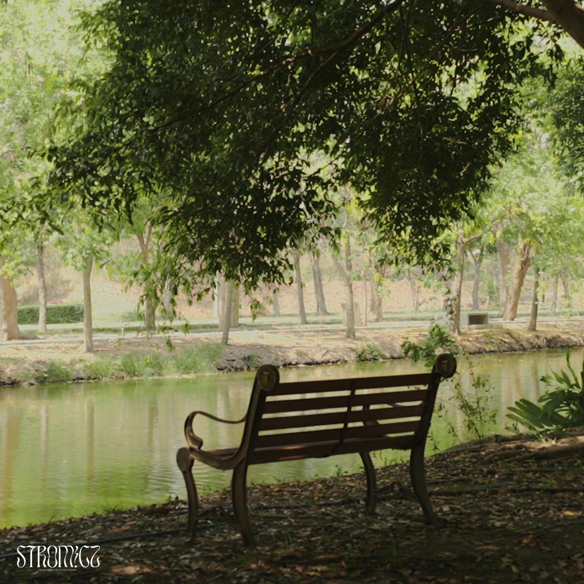 ทำไมเราไม่จากกันโดยดี - Single by STROMiCz album cover