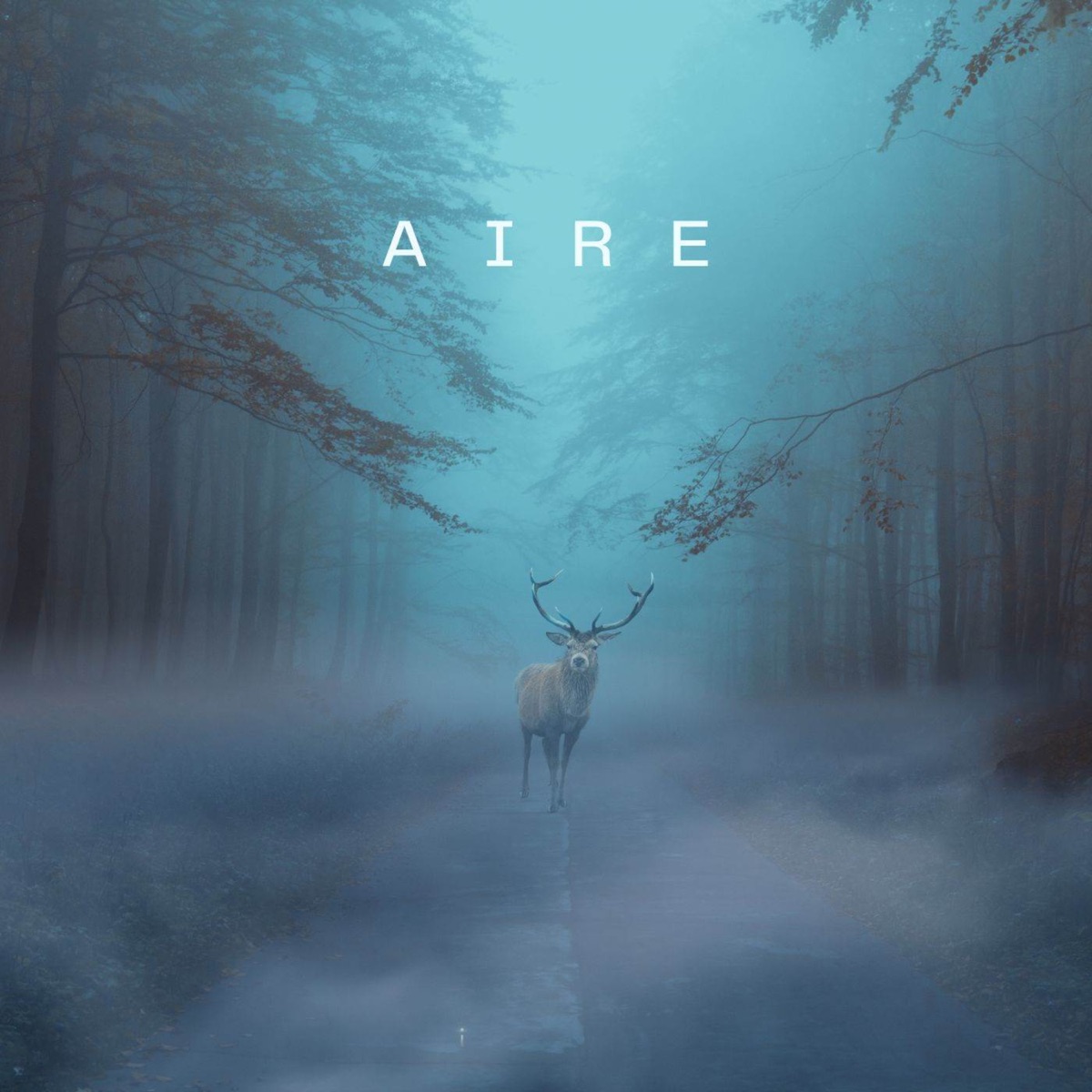 Aire - Single by 2ble Crack album cover