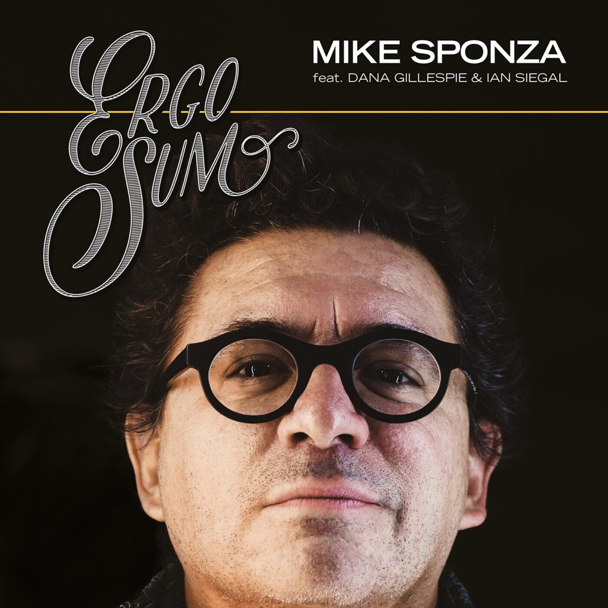 Ergo sum by Mike Sponza album cover