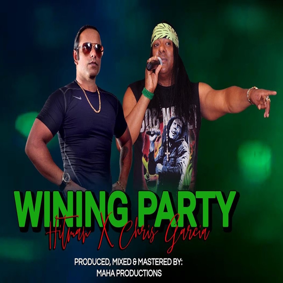Wining Party - Single by Chris Garcia & Hitman album cover