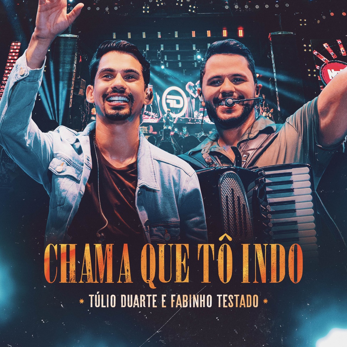 Chama Que Eu Tô Indo (Ao Vivo) - Single by Túlio Duarte & Fabinho Testado album cover