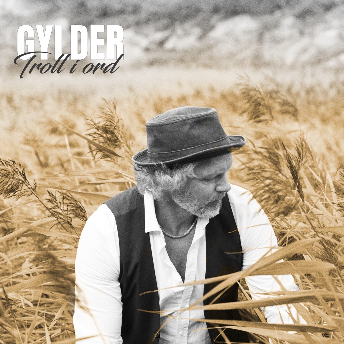 Troll i ord by Gylder album cover