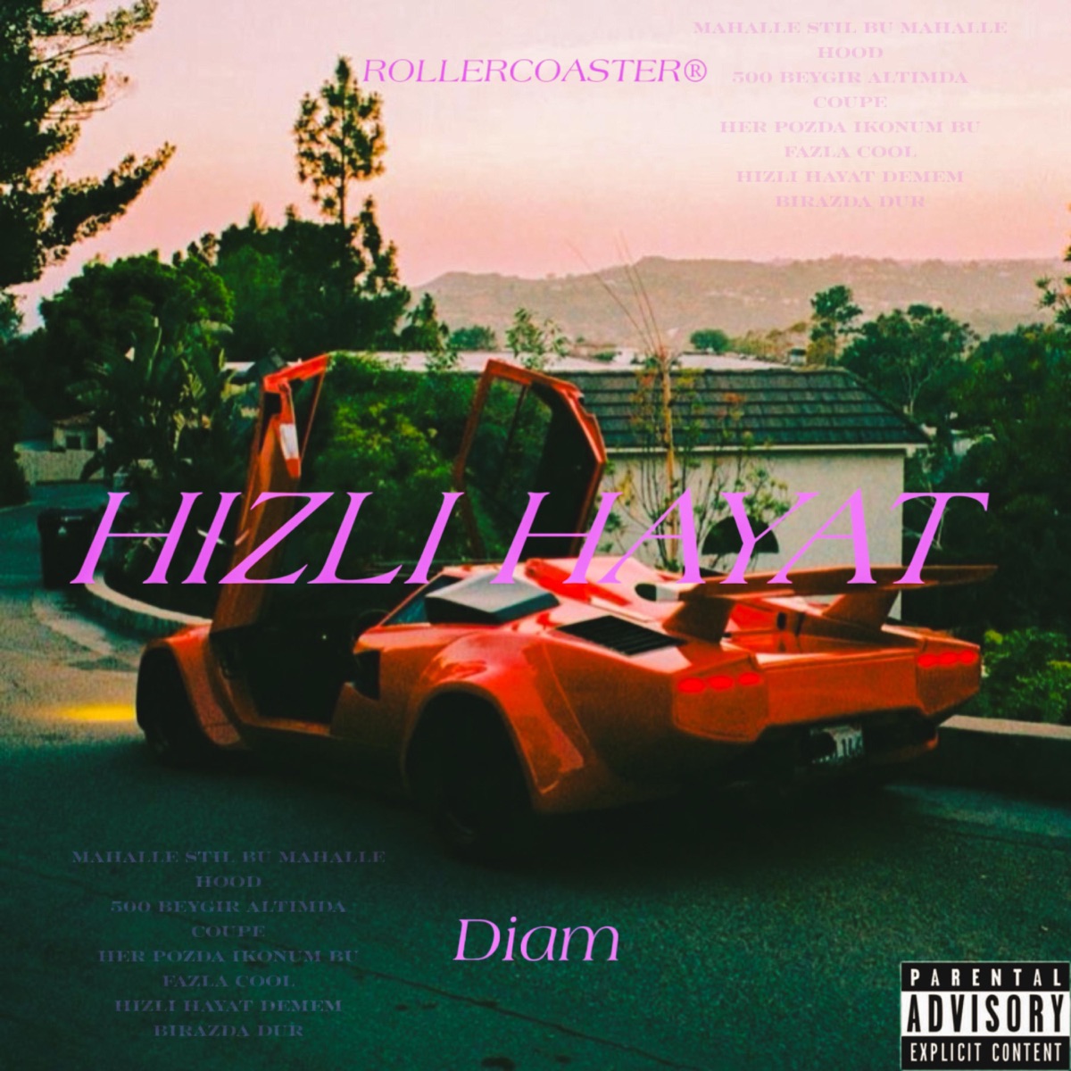 Hızlı Hayat - Single by Diam album cover