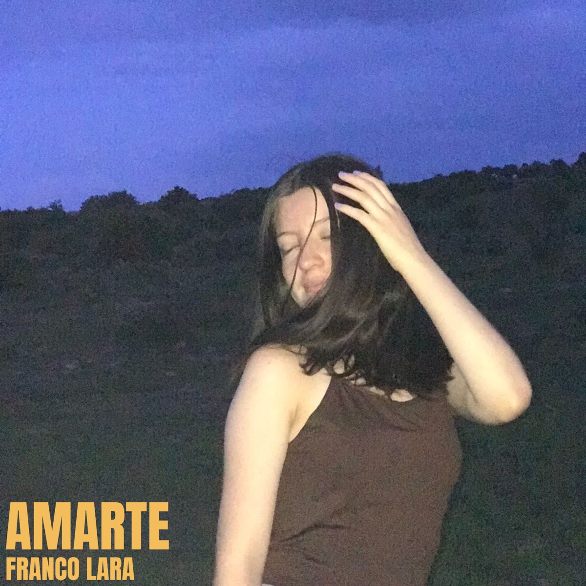 Amarte - Single by Franco Lara album cover
