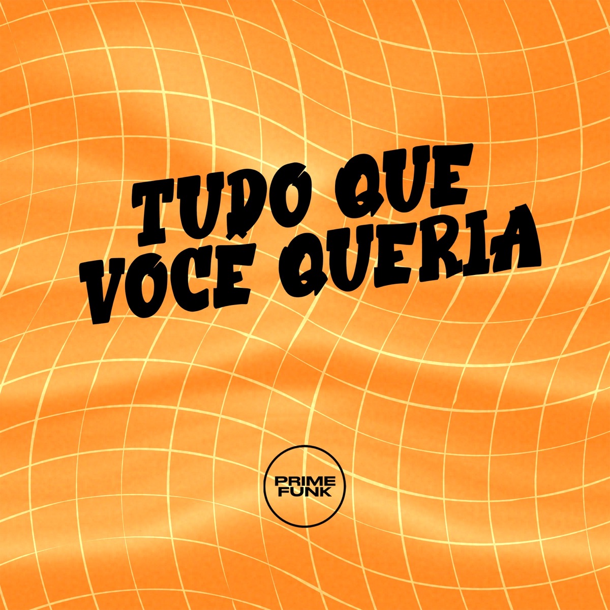 TUDO QUE VOCÊ QUERIA - Single by DJ Surtado 011, MC LCKaiique & Prime Funk album cover