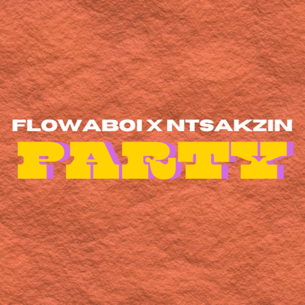 Party (feat. Ntsakzin) - Single by Flowaboi album cover