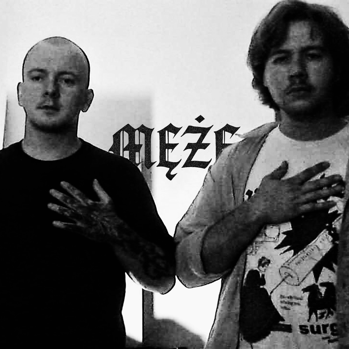 SUKA ZJARAŁA MI JAZZ/PIĘĆ STÓW - Single by Meze, Banzo & młodymłotek album cover